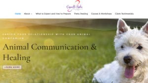 anmial communicator website design