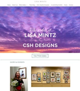 lisa mintz artist website design