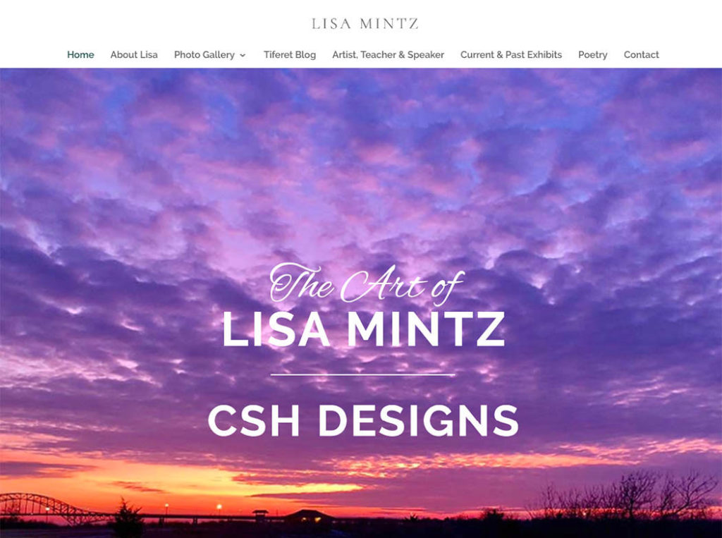 Lisa Mintz Website Design